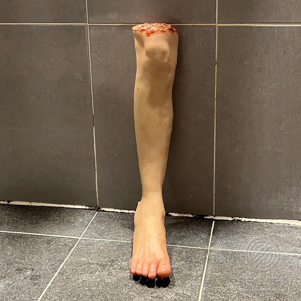 다리더미